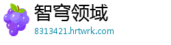 智穹领域